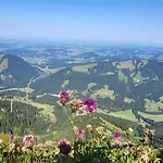 Exklusive Allgaeustern Steibis Mit Wlan Sauna Kamin Und Card Mit Skipass