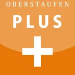 Appartamento Exklusive Allgaeustern Steibis Mit Wlan Sauna Kamin Und Card Mit Skipass Oberstaufen