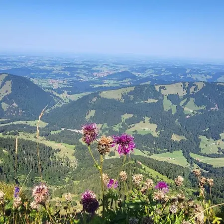 Exklusive Allgaeustern Steibis Mit Wlan Sauna Kamin Und Card Mit Skipass