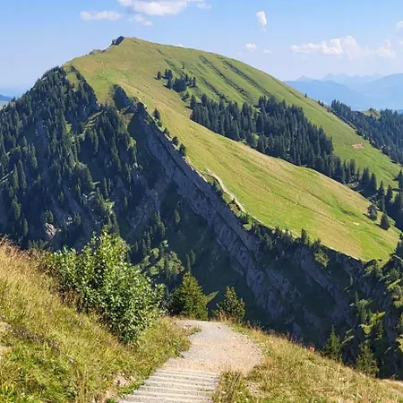 Exklusive Allgaeustern Steibis Mit Wlan Sauna Kamin Und Card Mit Skipass * Oberstaufen
