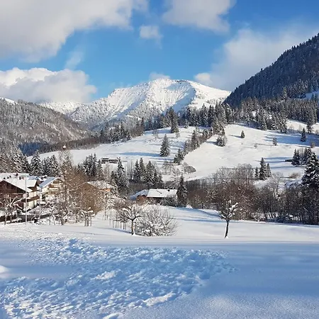Lejlighed Exklusive Allgaeustern Steibis Mit Wlan Sauna Kamin Und Card Mit Skipass *