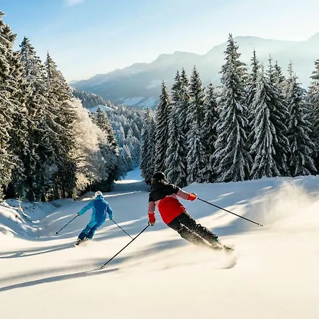 Exklusive Allgaeustern Steibis Mit Wlan Sauna Kamin Und Card Mit Skipass Lejlighed *
