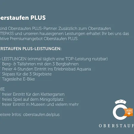 Exklusive Allgaeustern Steibis Mit Wlan Sauna Kamin Und Card Mit Skipass *