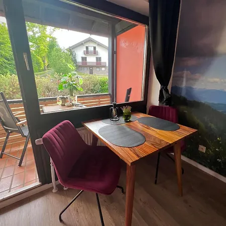 Exklusive Allgaeustern Steibis Mit Wlan Sauna Kamin Und Card Mit Skipass Διαμέρισμα *