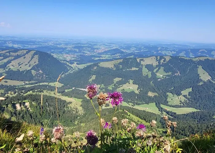 Exklusive Allgaeustern Steibis Mit Wlan Sauna Kamin Und Card Mit Skipass