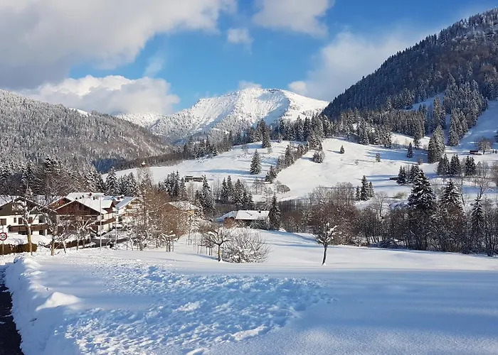Lejlighed Exklusive Allgaeustern Steibis Mit Wlan Sauna Kamin Und Card Mit Skipass *